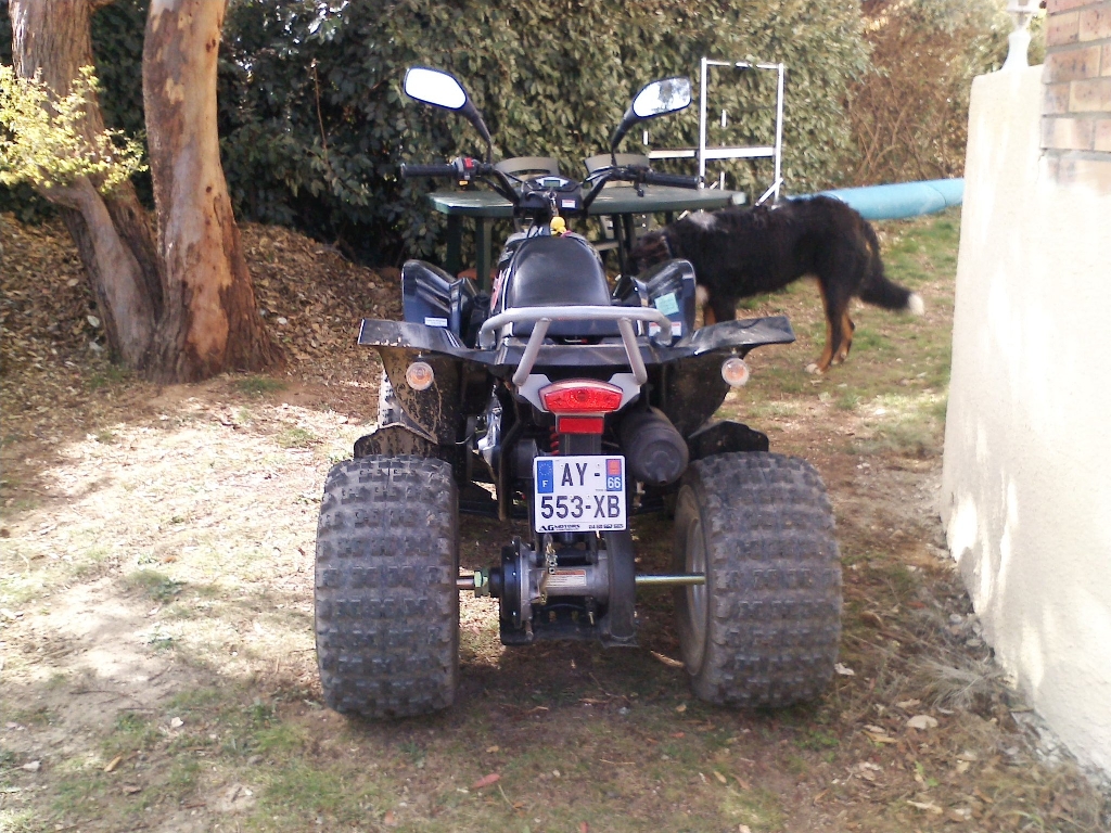 E-TON Viper 150  2010 photo 3