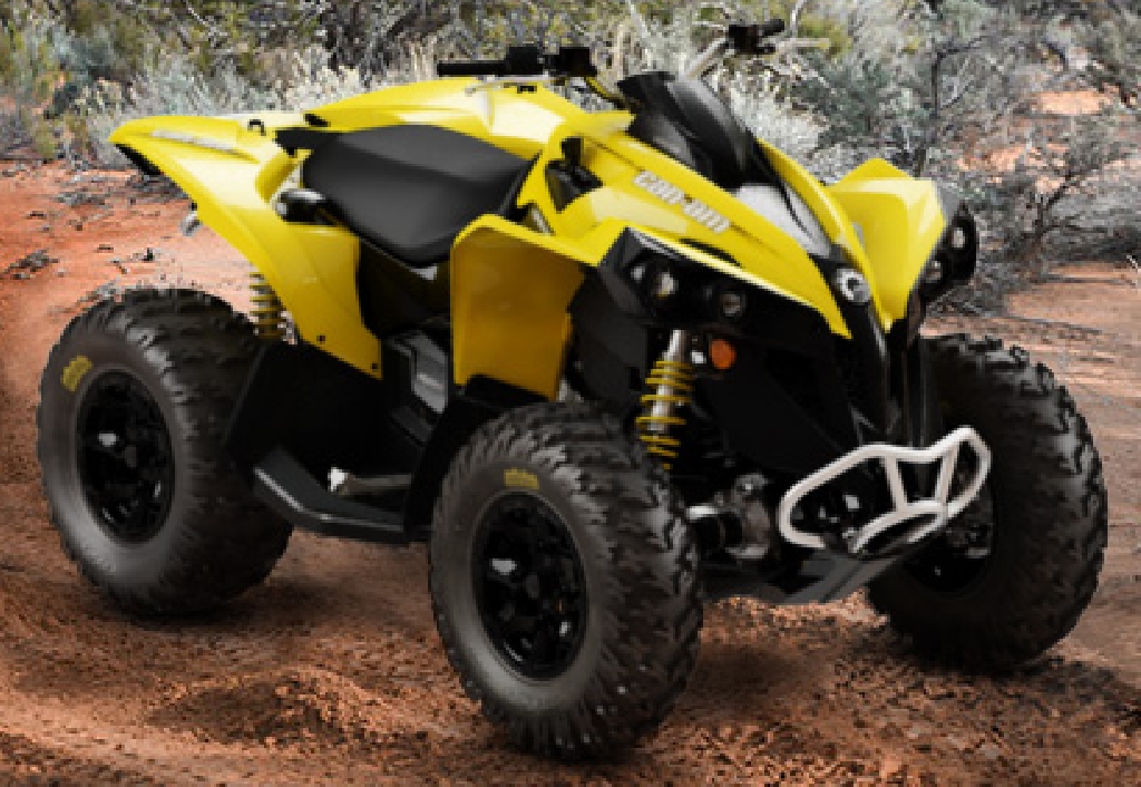 quad can am renegade 1000 occasion