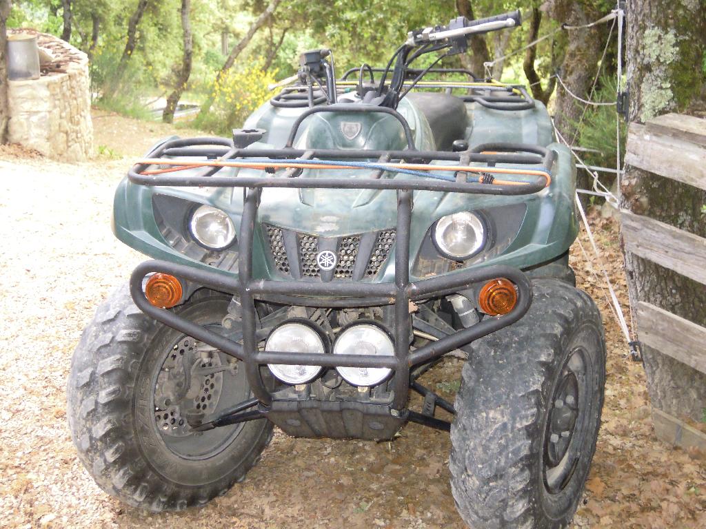 YAMAHA Bruin 350  2004 photo 2