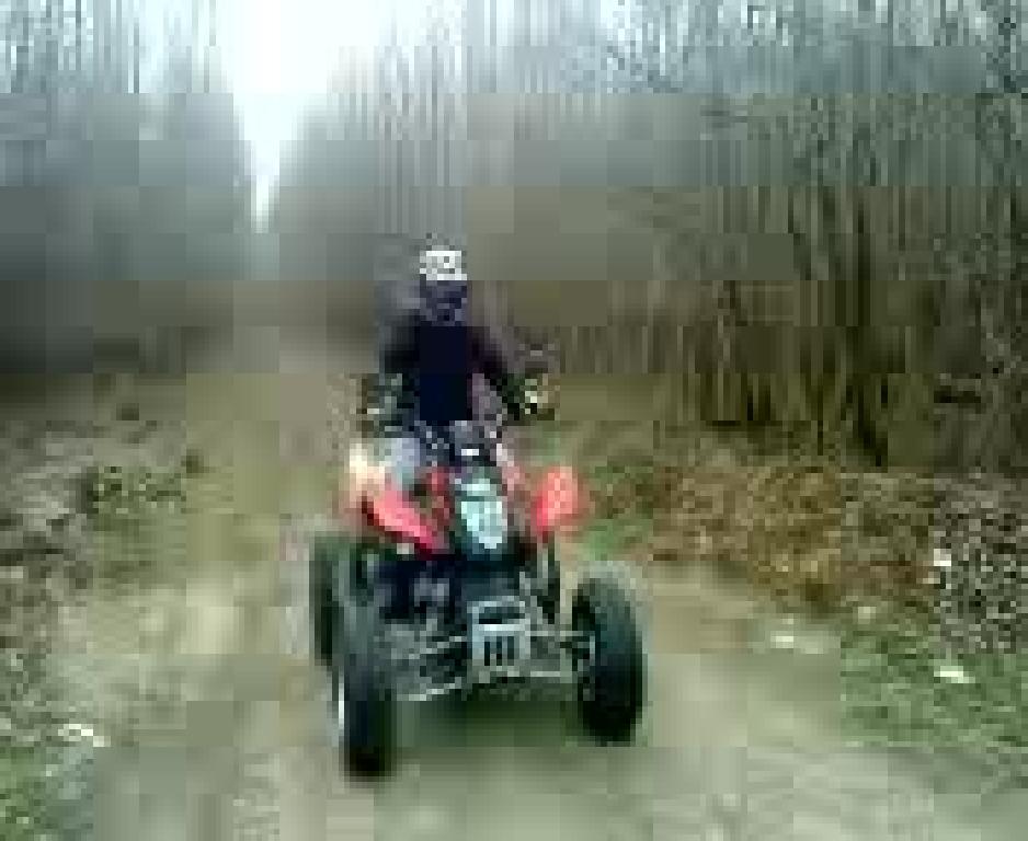 ARCTIC CAT DVX 300  2010 photo 2