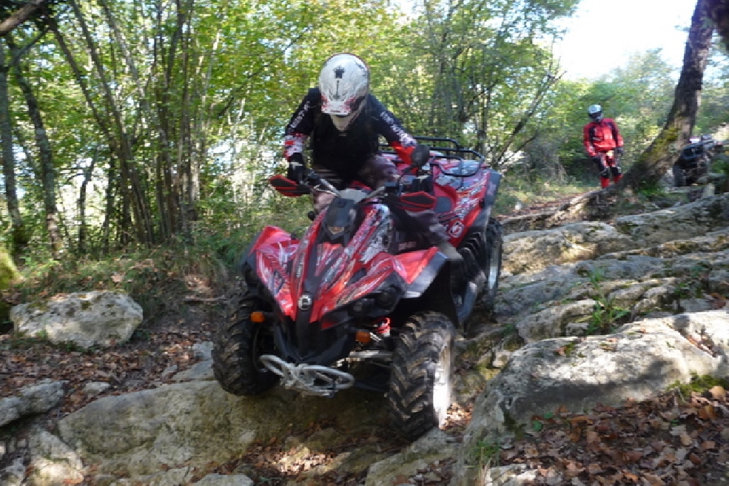 CAN-AM BOMBARDIER Renegade 500  2010 photo 2