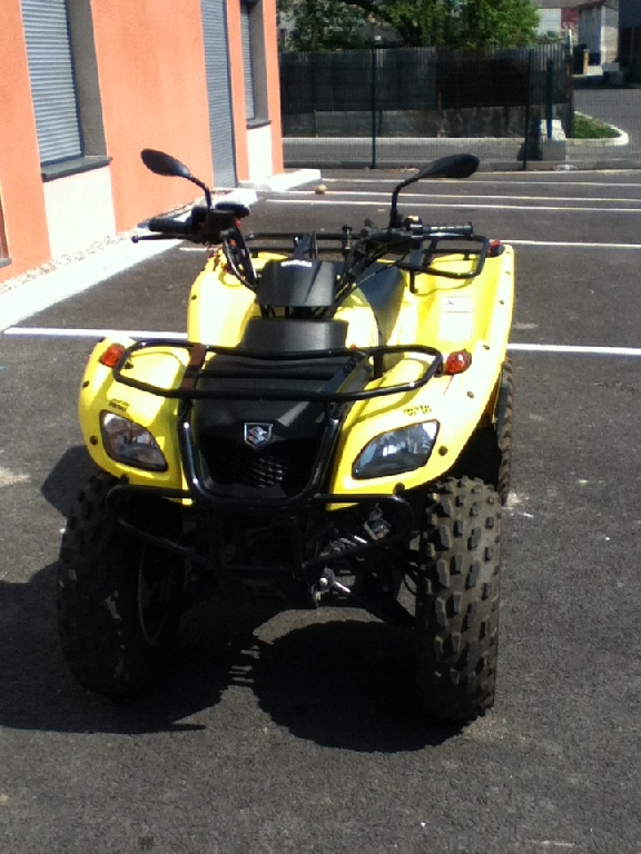 SUZUKI LTF 250 OZARK 2006 photo 2