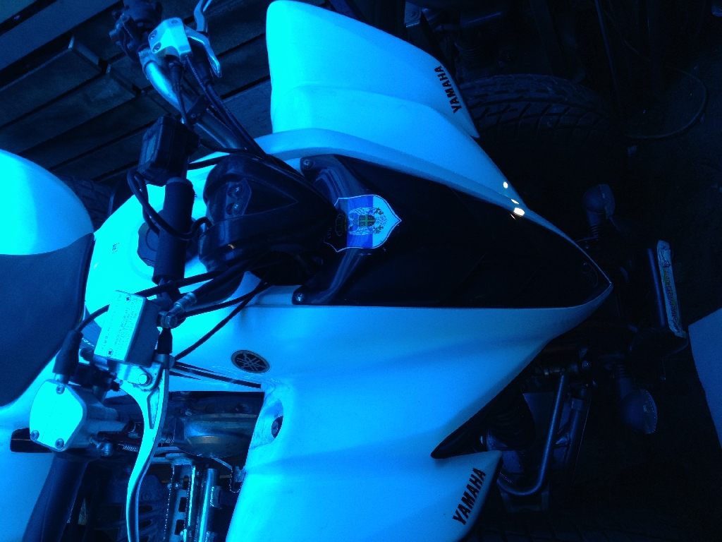YAMAHA YFM 350 R Raptor  2009 photo 2