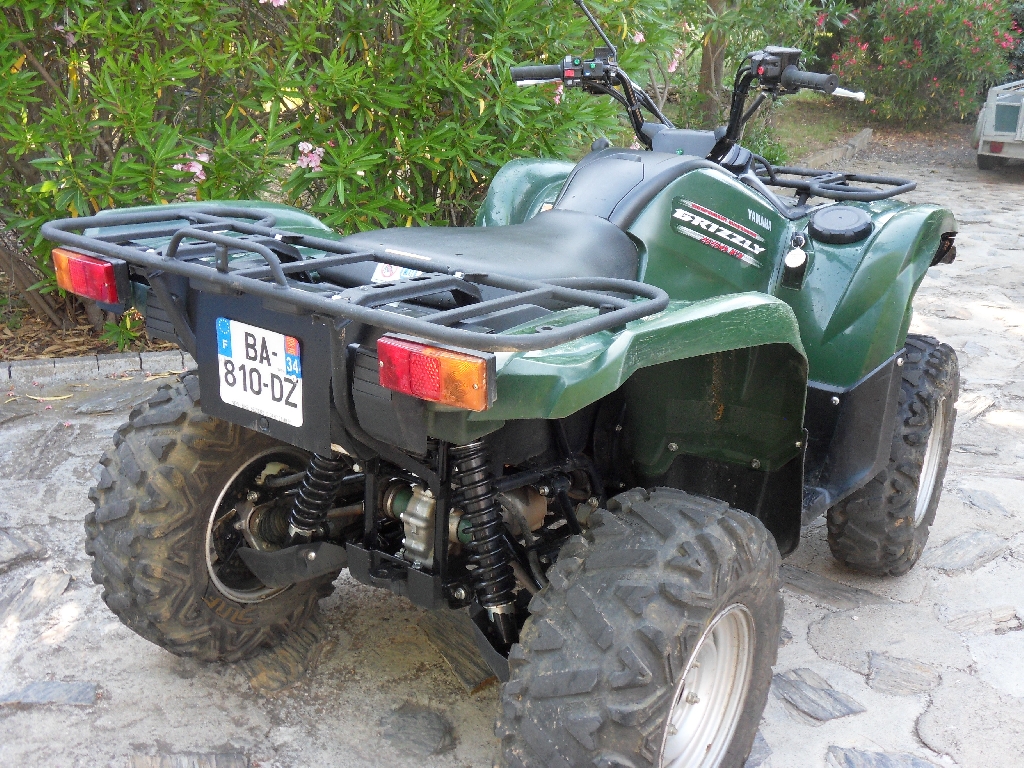 YAMAHA Grizzly 550  2010 photo 3
