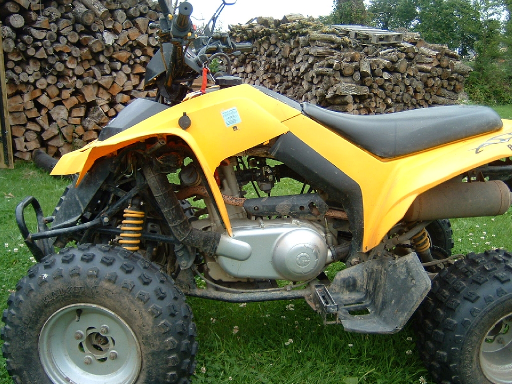 CAN-AM BOMBARDIER DS 250  2006 photo 2