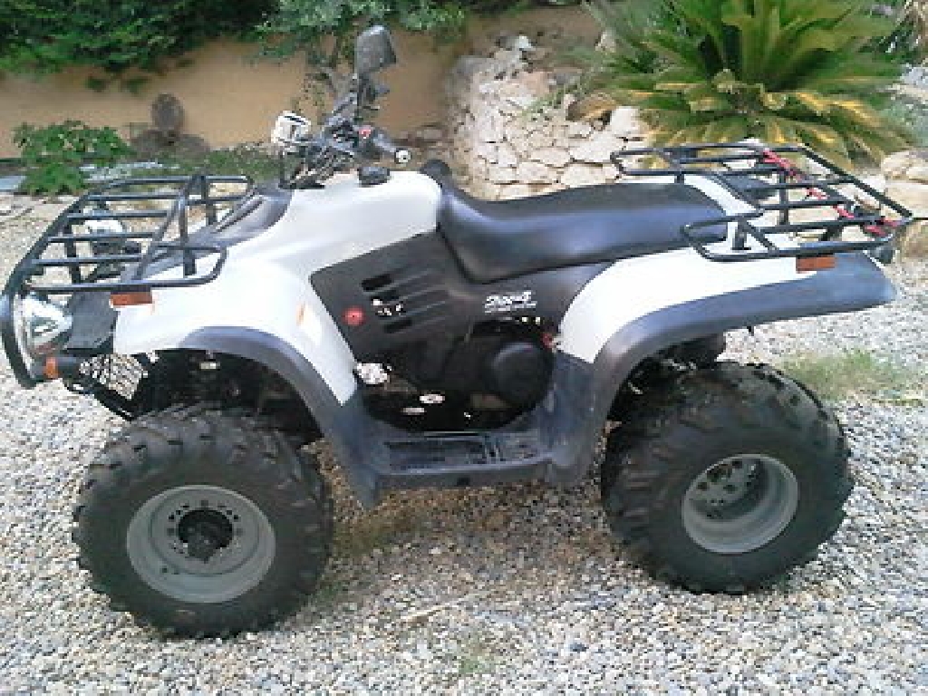 LINHAI 260  2004 photo 2