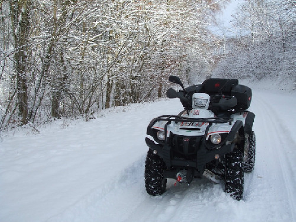 HYTRACK HY 600 4x4 EFI 2008 photo 2