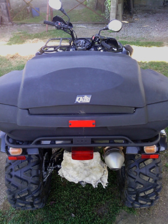 YAMAHA Grizzly 350 2x4 2008 photo 2