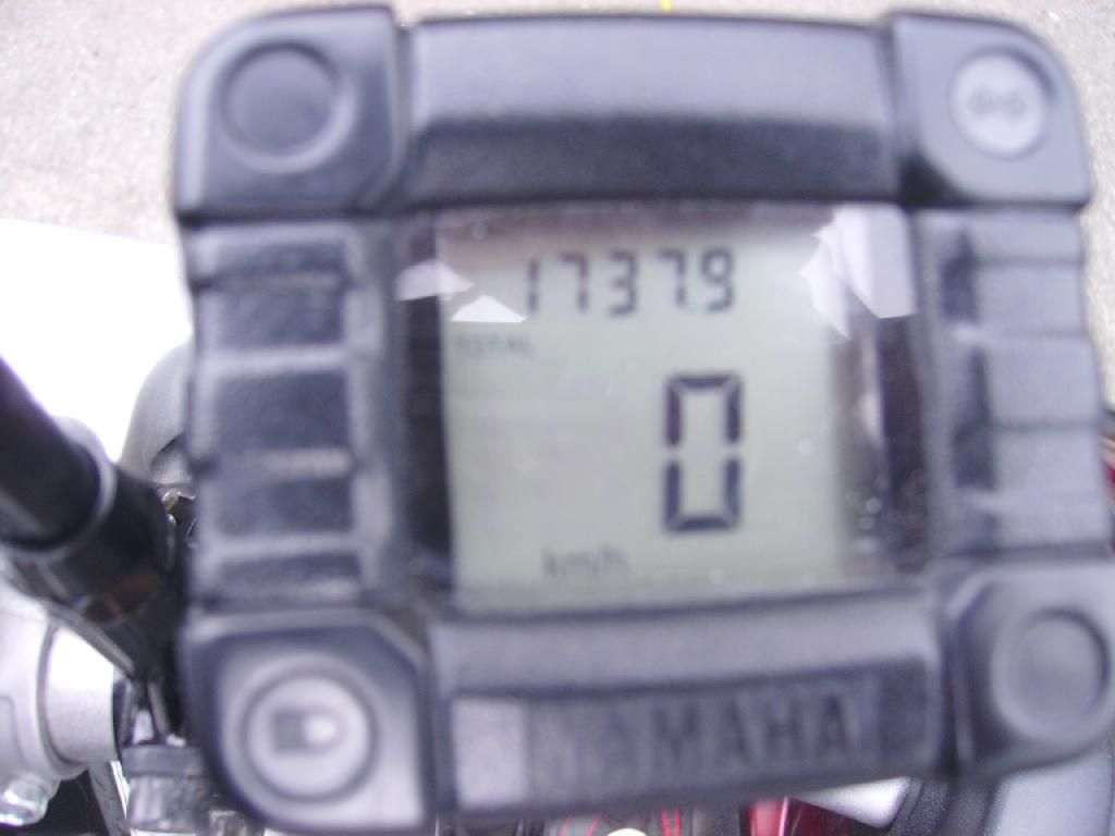 YAMAHA YFM 250 R Raptor  2010 photo 2