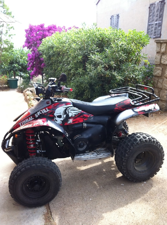 POLARIS Scrambler 500  2008 photo 2