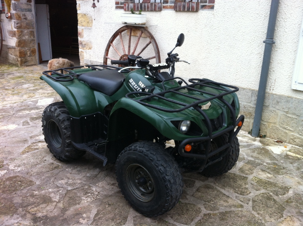 quad yamaha bruin 250