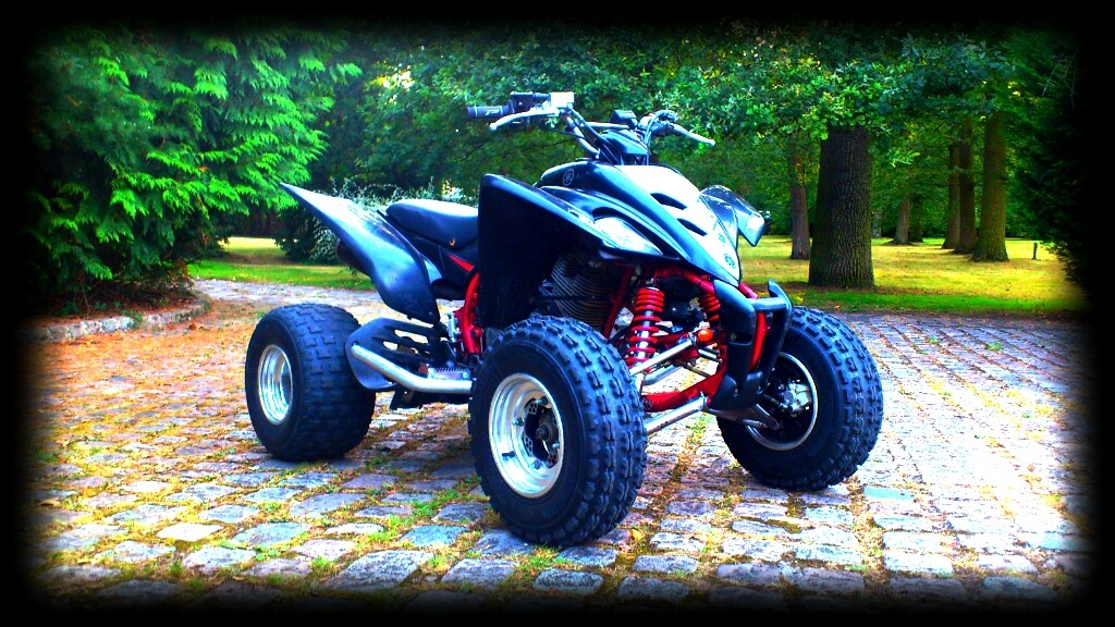YAMAHA YFM 350 R Raptor  2008 photo 2