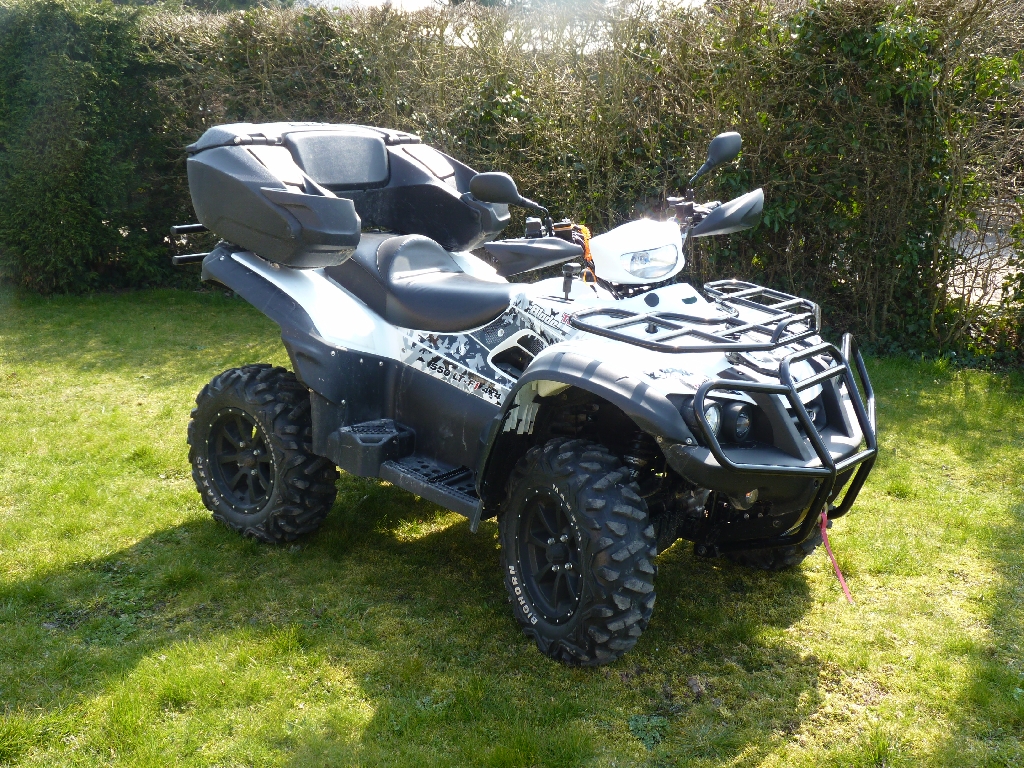 quad homologue tgb