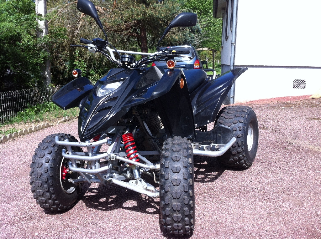 ADLY Interceptor 300  2008 photo 2