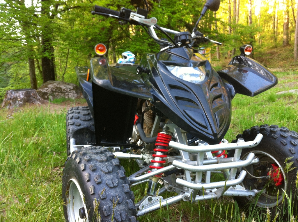 ADLY Interceptor 300  2008 photo 3