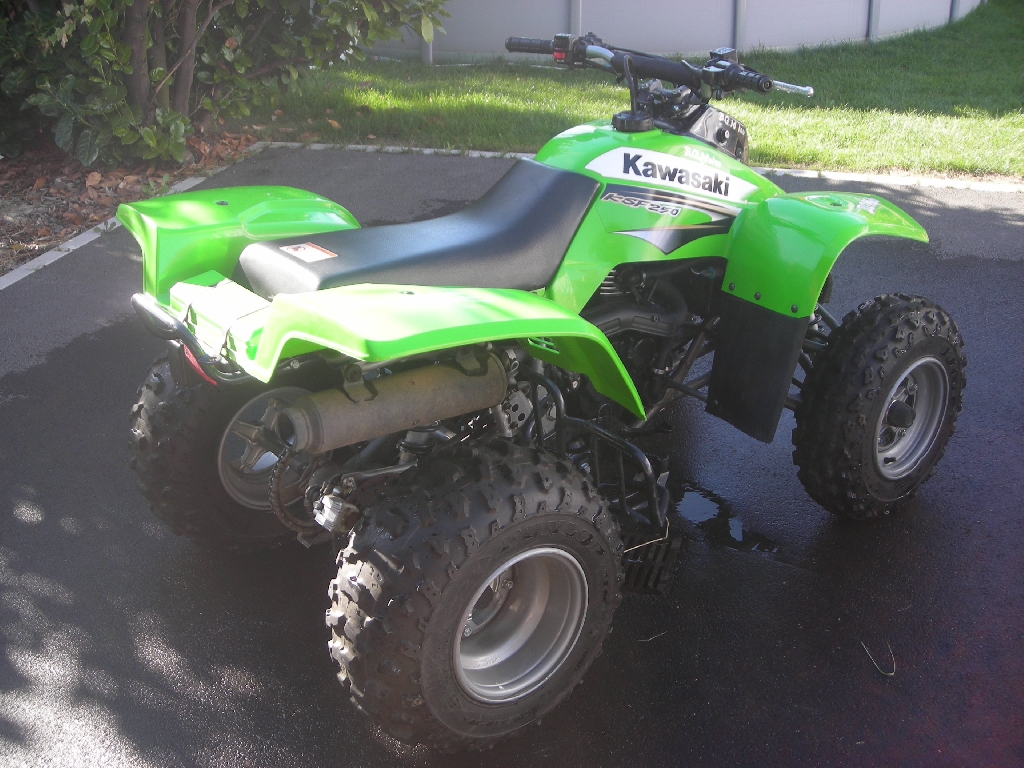 KAWASAKI KSF 250  2003 photo 2