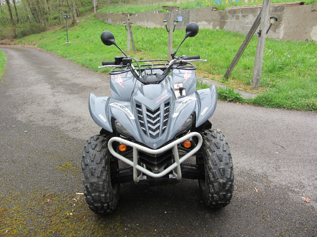 YAMAHA Wolverine 450  2008 photo 3