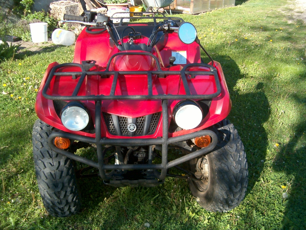 YAMAHA Bruin 350  2005 photo 2
