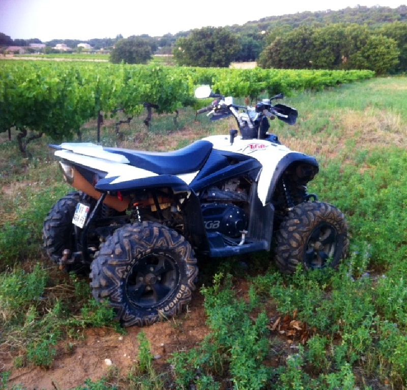 TGB Target 550  2010 photo 3