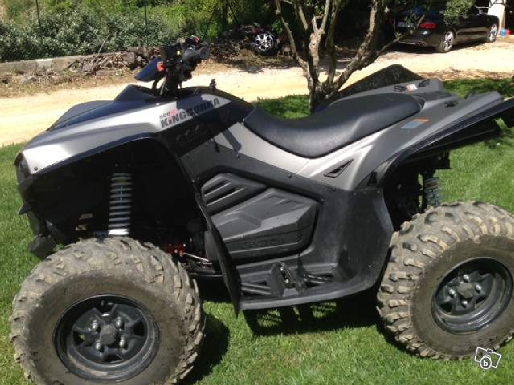 CECTEK Kingcobra 500  2011 photo 2