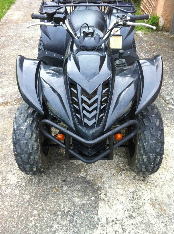 YAMAHA Wolverine 350  2008 photo 3