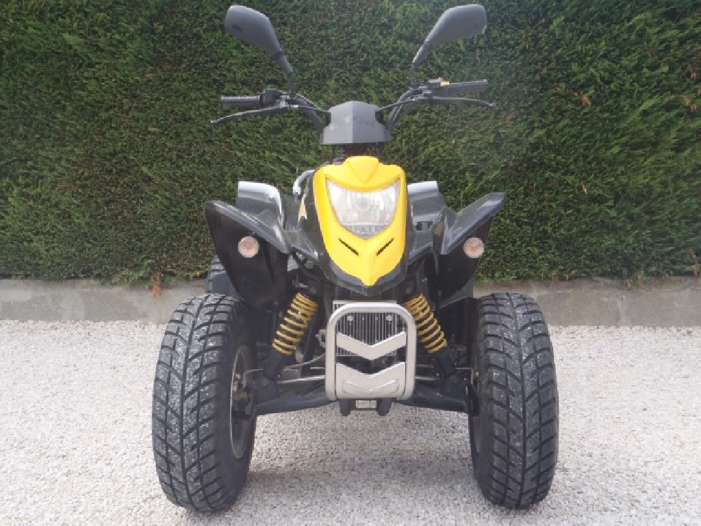 E-TON Viper 150  2006 photo 3