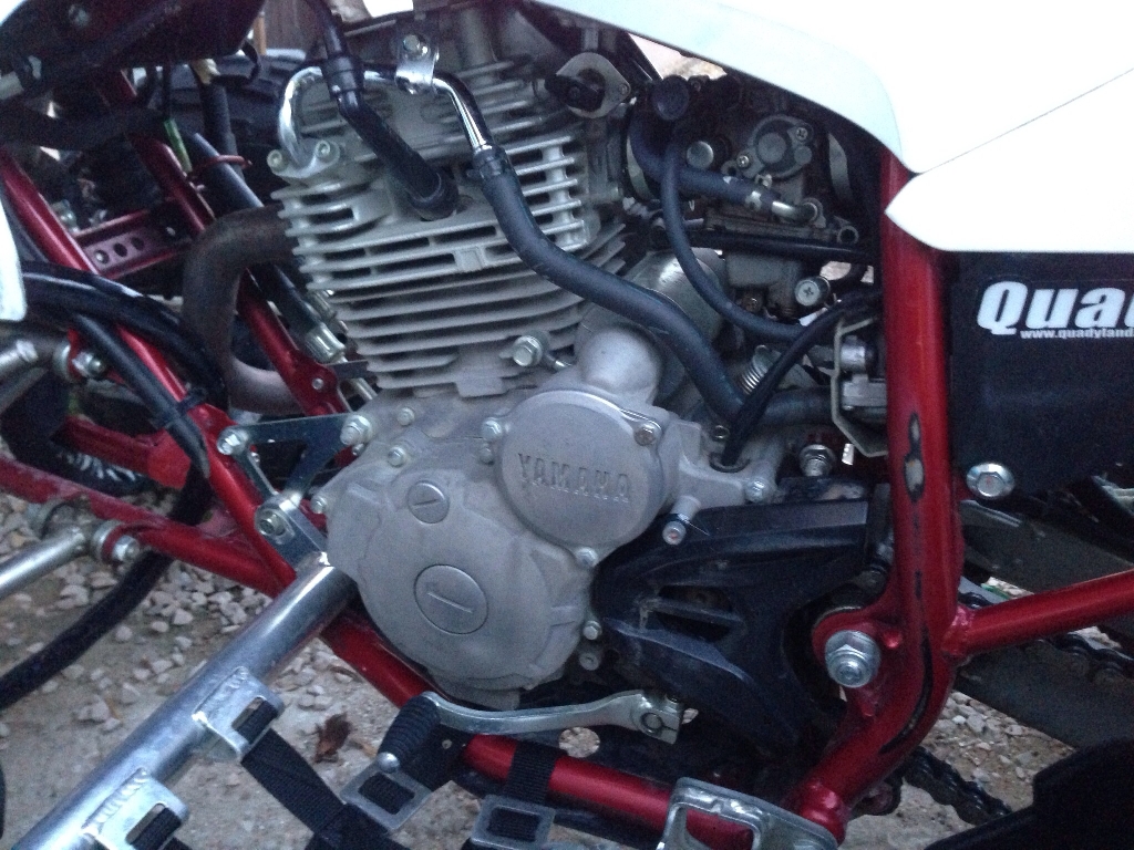 YAMAHA YFM 250 R Raptor  2010 photo 2