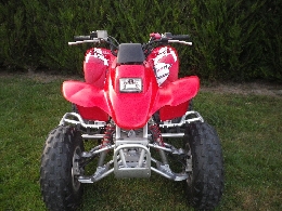 Quad HONDA TRX 250  occasion