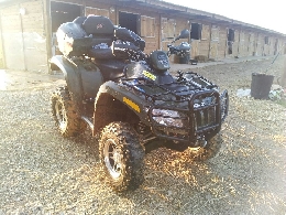 Quad ARCTIC CAT 500 4x4 occasion