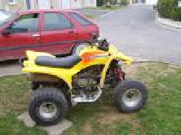 Quad ADLY Interceptor 300  occasion