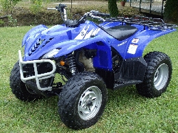 Quad YAMAHA Wolverine 350  occasion