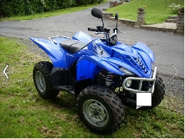 Quad YAMAHA Wolverine 350  occasion