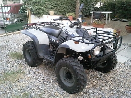 Quad LINHAI 260  occasion