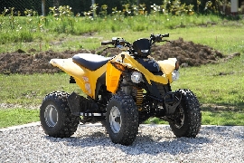 Quad CAN-AM BOMBARDIER DS 250  occasion