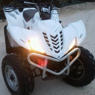 Quad YAMAHA Wolverine 350  occasion