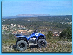 Quad YAMAHA Wolverine 450  occasion