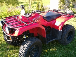 Quad YAMAHA Bruin 350  occasion
