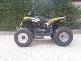 Quad E-TON Viper 150  occasion